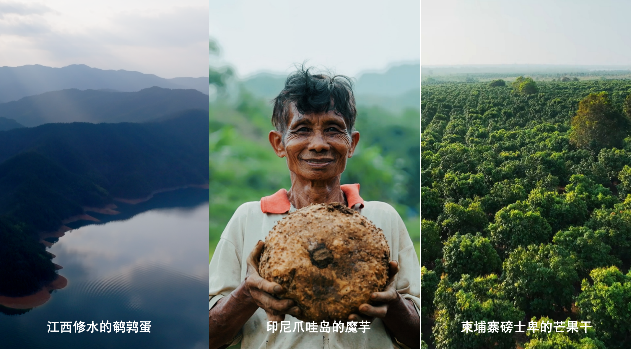 新春家書｜根深則葉茂，心定則路遠(yuǎn)